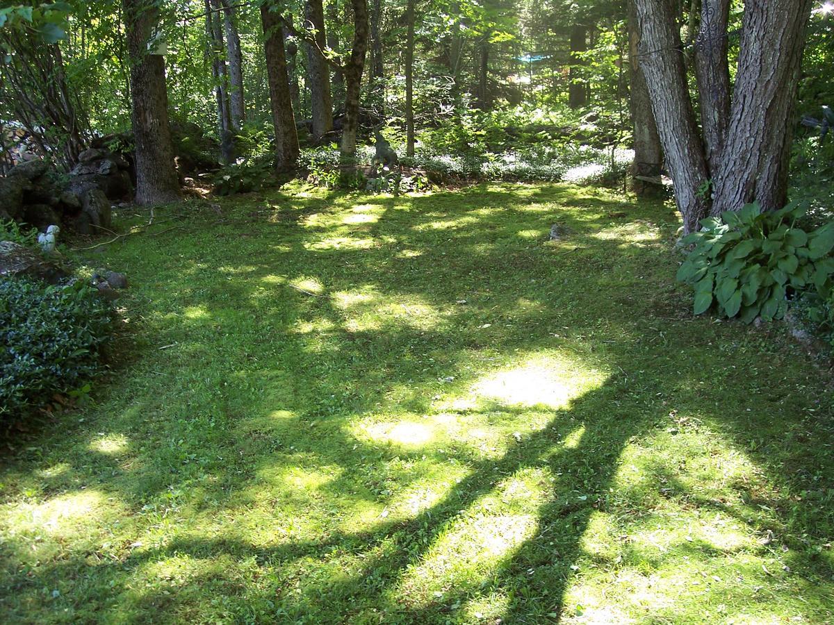 Hummingbird Hill Bed and Breakfast Stoddard Zewnętrze zdjęcie