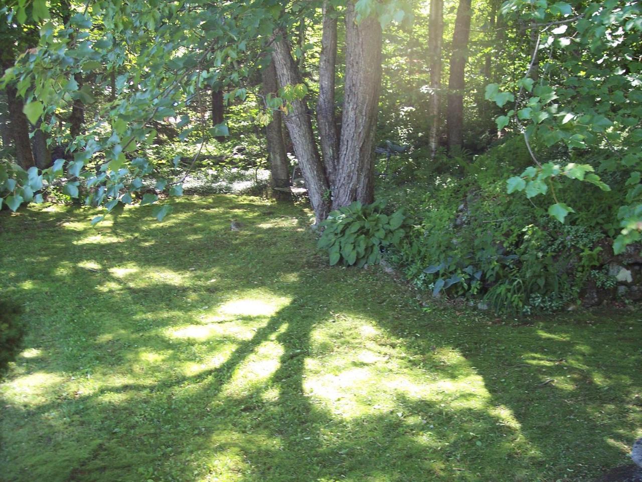 Hummingbird Hill Bed and Breakfast Stoddard Zewnętrze zdjęcie